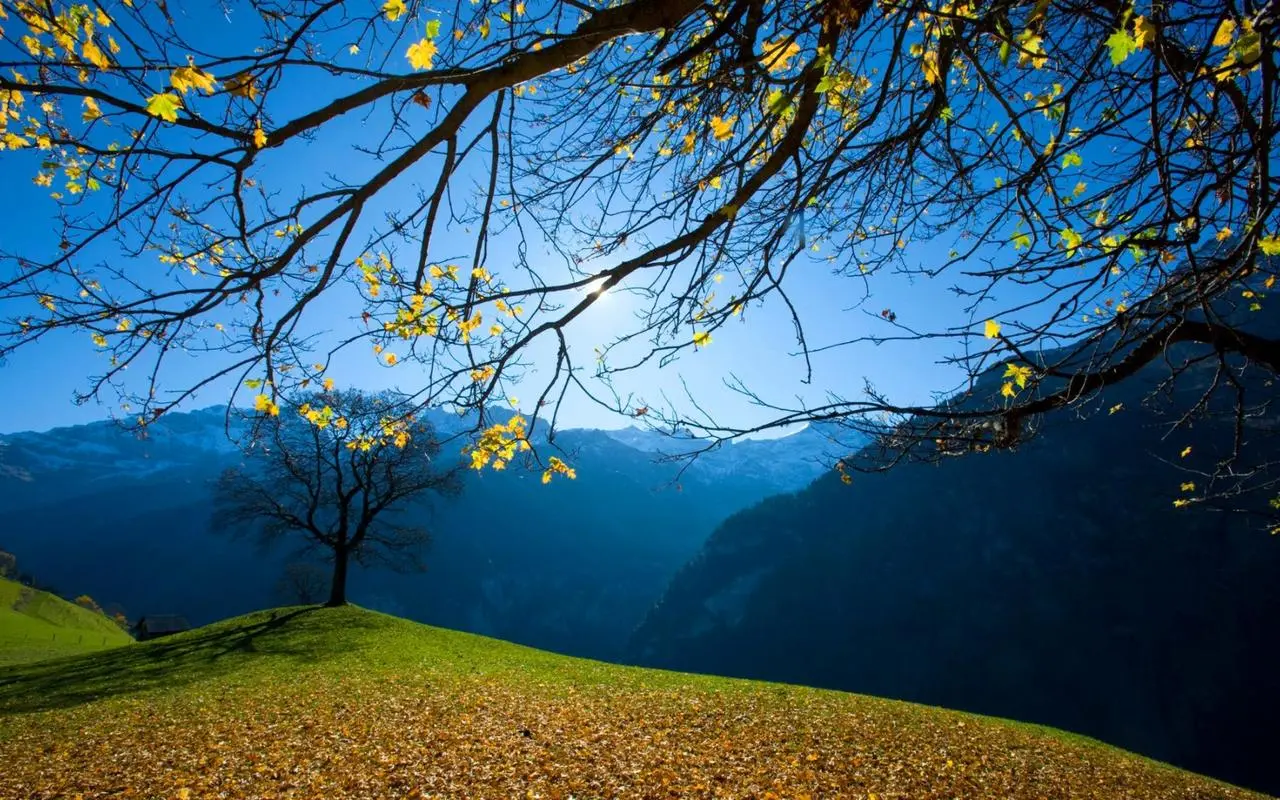 网络化创意